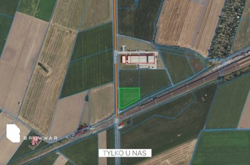 Działka, Buk, Buk (gm.), 5512 m²