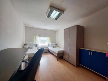 Pokój, Zielona Góra, 25 m²