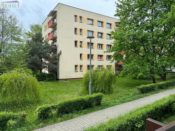 Mieszkanie, Chorzów, Centrum, 48 m²