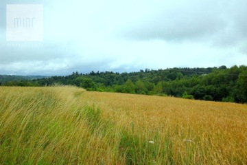 Działka, Podgrodzie, Dębica (gm.), 6800 m²