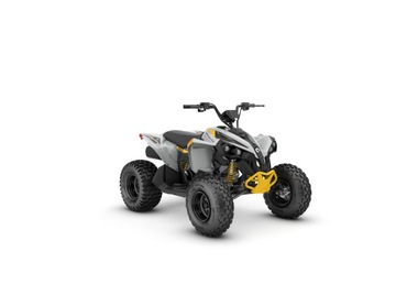 Can Am Renegade STD 110 EFI