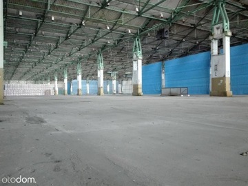 Magazyny i hale, Oława, 7000 m²