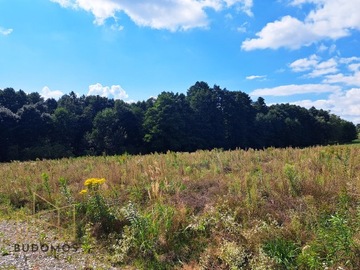 Działka, Wojnicz, Wojnicz (gm.), 2400 m²