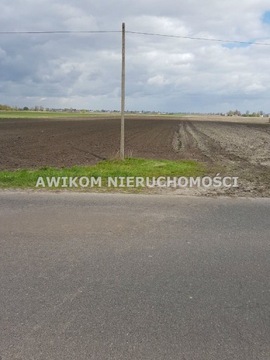 Działka, Brwinów, Brwinów (gm.), 81132 m²