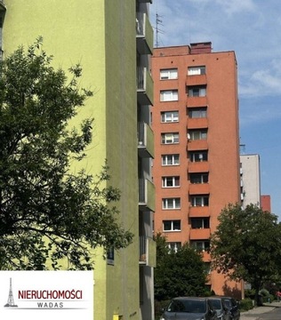 Mieszkanie, Zabrze, Centrum, 48 m²