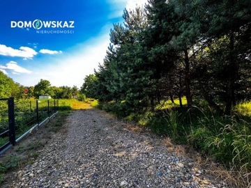 Działka, Rogoźnik, 890 m²