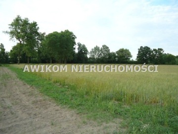 Działka, Jaktorów, 4358 m²