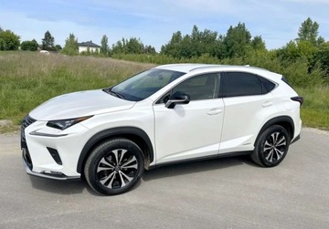 Lexus NX 4x4 NX300 H 155 KM Salon PL - 1 Wlasc...