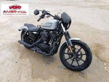 Harley-Davidson Inny XL1200 NS, 2020r.