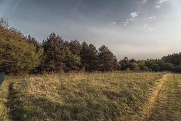 Działka, Rybnik, Kamień, 2800 m²