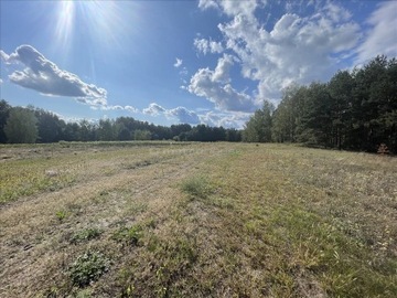 Działka, Lubicz Dolny, 57200 m²