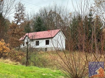 Dom, Kisielówka, Limanowa (gm.), 100 m²