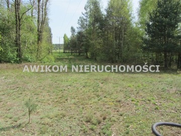 Działka, Komorów, Kampinos (gm.), 5663 m²