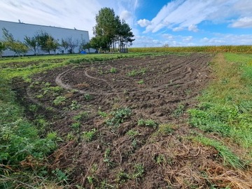 Działka, Siemianowice Śląskie, 475 m²