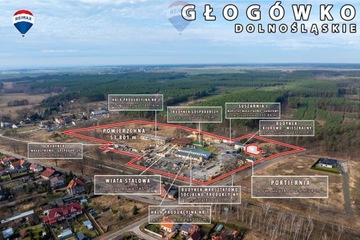 Magazyny i hale, Głogówko, 53801 m²