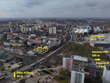 Komercyjne, Dąbrowa Górnicza, 800 m²