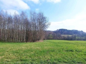 Działka, Łużna, Łużna (gm.), 3300 m²