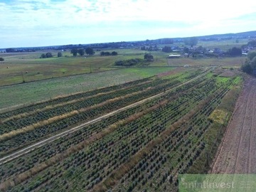 Działka, Przybiernów, 1301 m²