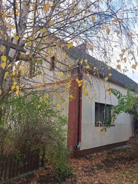 Dom, Milicz, Milicz (gm.), 130 m²