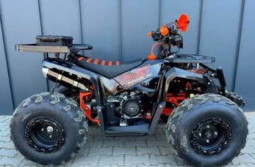 Inny Inny Quad Beretta BARACUDA 250 cc Raty