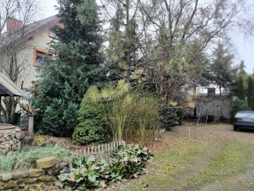 Dom, Sierosław, 60 m²