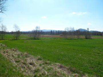 Działka, Jelenia Góra, Maciejowa, 22000 m²