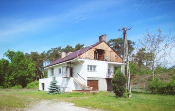 Dom, Aleksandrów Kujawski (gm.268 m²