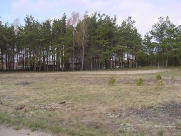 Działka, Czersk, Czersk (gm.), 15939 m²
