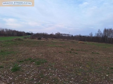 Działka, Ciechanów, Ciechanów, 39368 m²