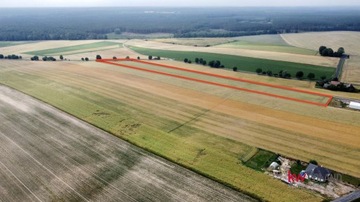 Działka, Jastrzębniki, 15000 m²