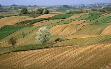 Działka, Lwówek Śląski, 300000 m²