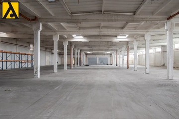 Magazyny i hale, Toruń, 4000 m²