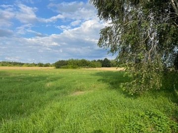 Działka, Milanówek, Milanówek, 1300 m²