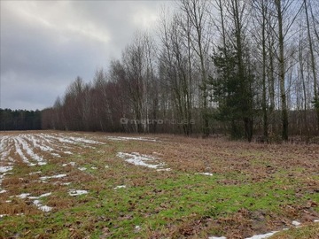 Działka, Wojnów, Mordy (gm.), 14500 m²