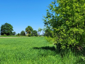 Działka, Kościan, 1390 m²