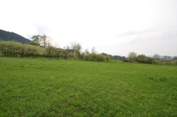 Działka, Stara Wieś, 4755 m²