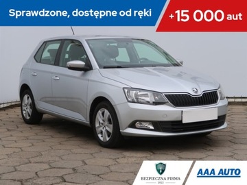 Skoda Fabia 1.0, Salon Polska, Serwis ASO, Klima