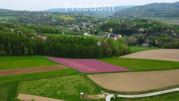 Działka, Jasienica Rosielna, 2829 m²