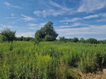 Działka, Chrząstawa Mała, 62000 m²