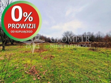 Działka, Rajszew, Jabłonna (gm.), 25000 m²