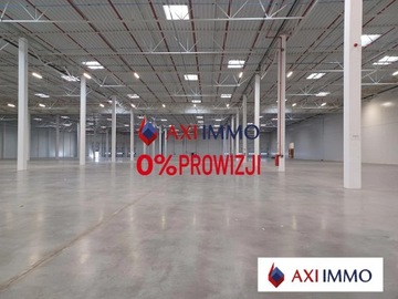 Magazyny i hale, Szczecin, 15300 m²