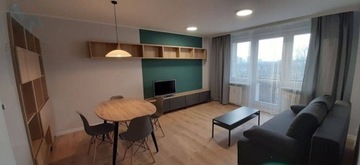 Mieszkanie, Poznań, Winogrady, 48 m²