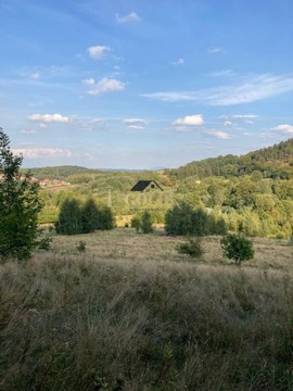 Działka, Wałbrzych, Rusinowa, 9686 m²