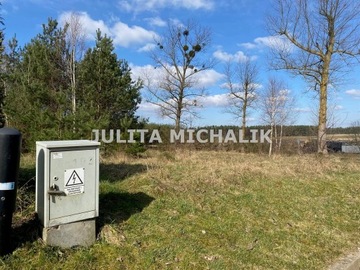 Działka, Linia, Linia (gm.), 1025 m²