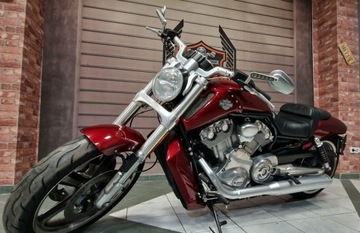 Harley-Davidson V-Rod Muscle 2009 Harley David...