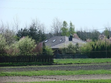 Dom, Czarków, Pszczyna (gm.), 229 m²