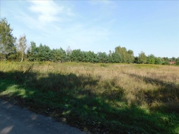 Działka, Czarne Błoto, 1459 m²