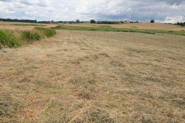 Działka, Bartąg, Stawiguda (gm.), 8650 m²