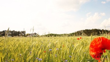 Działka, Rudki, Ostroróg (gm.), 2520 m²