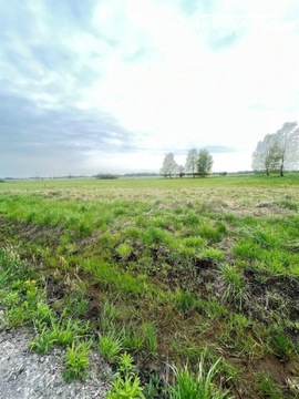 Działka, Zamość, Szubin (gm.), 1000 m²